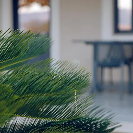 Appartement Carpe Diem Moursia